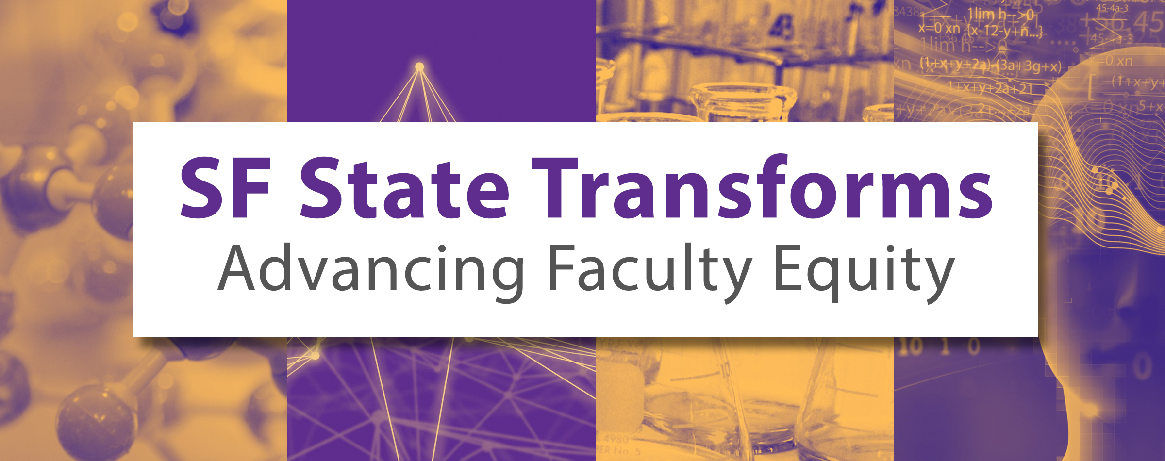 The Transforms banner. A purple and gold rectangle with a white box overlaying it that reads SF State Transforms, Advancing Faculty Equity